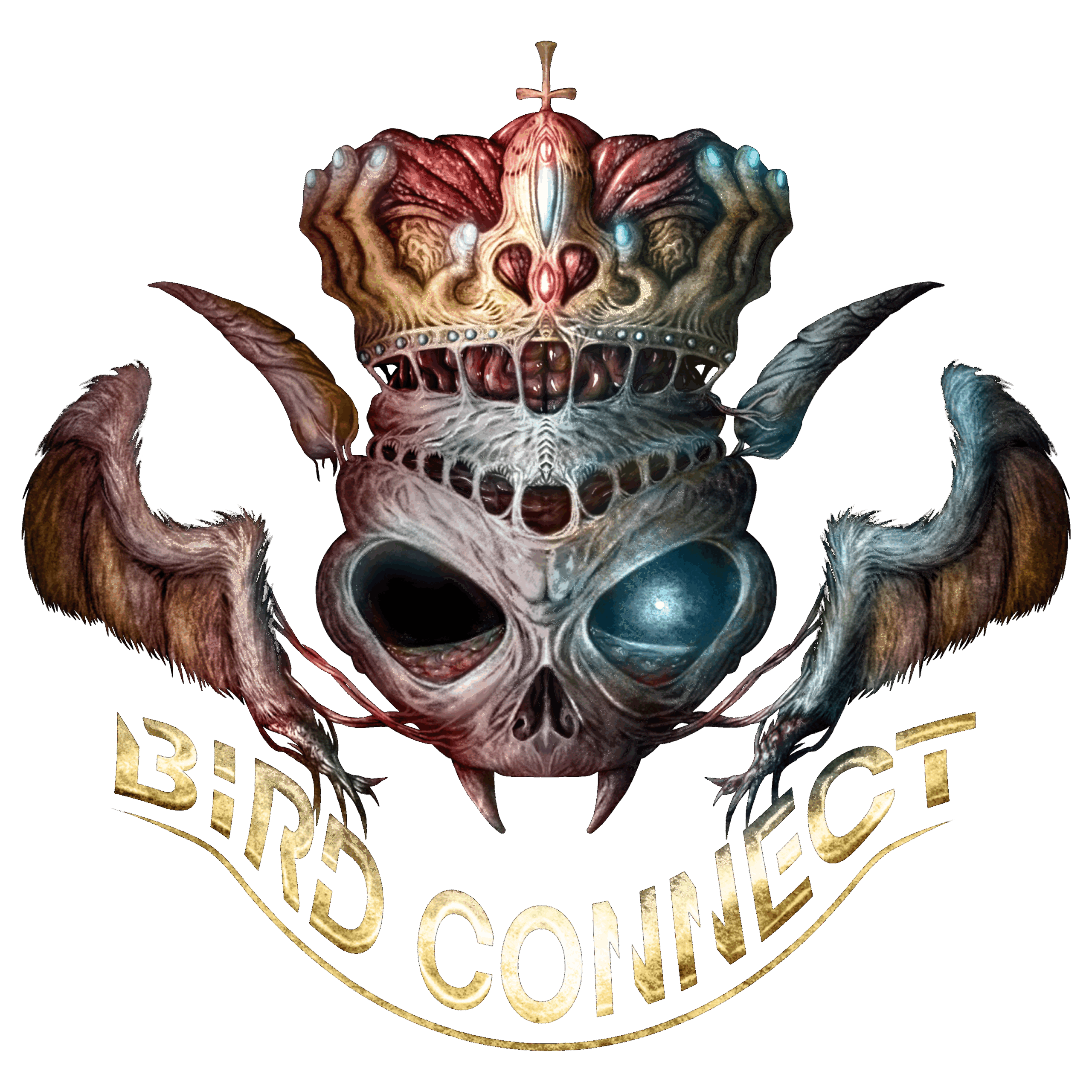 ホラーイラスト屋BIRD CONNECT